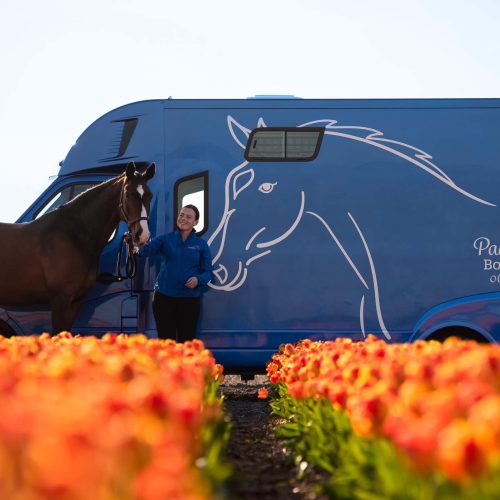 Paardentaxi Bollenstreek